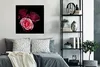 MuchoWow® Poster Ein Foto von rosa Rosen mit schwarzem Produktbild-Vorschau 5