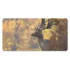 MuchoWow® Mauspad Mousepad Hirsche - Geweihe - Herbst 60x30 Produktbild-Vorschau 1