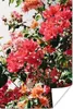 MuchoWow® Poster Rosa Blumen in einem Busch 40x60 cm - Produktbild-Vorschau 1