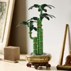 LEGO® Botanicals 10344 Glücks-Bambus Produktbild-Vorschau 53