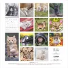 Alpha Edition - Samtpfötchen Kalender 2026 - Wandkalender & Produktbild-Vorschau 2