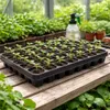 BigDean Anzuchtplatte Pro 5er Pack 60 Pflanzlöcher Ø 4,7 cm Produktbild-Vorschau 5