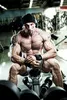 Dyanabol Testo Booster Muskelaufbau Extrem Testosteron Produktbild-Vorschau 5