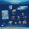 KOSMOS Australis, Strategiespiel, Gesellschaftsspiel, Produktbild-Vorschau 4