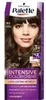 Palette Intensive Color Creme Färbecreme Nr. 5-0 (N4) - Produktbild-Vorschau 1