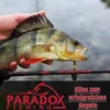 Paradox Fishing Firetiger Barsch Kombo Spinnrute 2,10m Produktbild-Vorschau 7