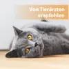 Felisept Wundgel für Katzen 20ml Produktbild-Vorschau 5