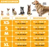 Harnais pour chiens Lovpet® sans traction ni étranglement Voir les images du produit 3