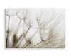 Fabelhafte Canvas LEINWAND BILDER 100x70 cm XXL Kunstdruck Produktbild-Vorschau 3