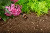 Gardena Micro Drip Endline Drip Head, pressure equalizing, Produktbild-Vorschau 3