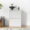 Schuhkipper 'Sokndal' mit 2 Klappen Metall 71 x 50 x 15 cm Produktbild-Vorschau 4