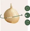 Allium Czosnek - 200 szt - 'Sphaerocephalon' - Cebulki Podgląd zdjęcia produktu 2