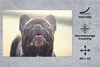 MuchoWow® Schreibtischunterlage Französische Bulldogge - Produktbild-Vorschau 2