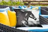 MuchoWow® Outdoor Kissen - Pferd - Tiere - Schwarz - Weiß - Produktbild-Vorschau 4