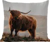 MuchoWow® Outdoor Kissen - Schottische Hochlandrind - Tiere Produktbild-Vorschau 1
