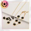 EDIBAZZAR | Gouden sieradenset, chirurgisch staal, ketting, Productafbeelding-voorbeeld 5