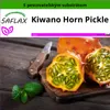 SAFLAX - Kiwano Horn Pickle - Cucumis metuliferus - 10 Náhľad obrázku produktu 5