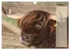 Glückliche Kühe (Wandkalender 2027 DIN A4 quer), CALVENDO Produktbild-Vorschau 6