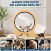 Roue d'exercice pour chats - Roue extra-large - 86 cm - Voir les images du produit 3