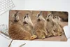 MuchoWow® Mauspad Mousepad Erdmännchen - Felsen - Natur Produktbild-Vorschau 5