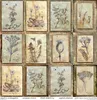 Scrapbooking-Papier Set 30×30 cm – SLS-049 Herbarium 2 – Produktbild-Vorschau 24