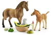 Horse Club Sarahs Tierbaby-Pflege Produktbild-Vorschau 1