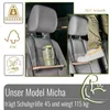 HOLZI Aufstiegshilfe Vans mit Hochdach Trittstufe Produktbild-Vorschau 6