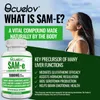 SAM-e 1000mg (120 Kapseln) Nahrungsergänzungsmittel, Produktbild-Vorschau 5