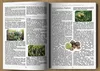 Das verlorene Buch der Kräuterheilmittel: Die heilende Produktbild-Vorschau 4
