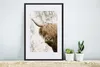 MuchoWow® Gerahmtes Poster Schottischer Highlander - Kuh - Produktbild-Vorschau 4