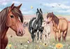 Miss Melody Puzzle 100 Teile Produktbild-Vorschau 1