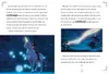Unicorn Academy - Das Vermächtnis Produktbild-Vorschau 4