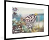 MuchoWow® Gerahmtes Poster Schmetterling - Blumen - Produktbild-Vorschau 1