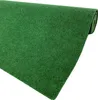 Rasenteppich Kunstrasen mit Noppen Drainage 100x200cm Produktbild-Vorschau 1