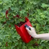 Beerenpflücker / Kleinobstpflücker Produktbild-Vorschau 5