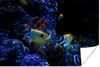 MuchoWow® Poster Aquarienfische in einem Aquarium in Produktbild-Vorschau 1