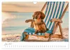 Zauberhafte Dackel (Wandkalender 2027 DIN A4 quer), Produktbild-Vorschau 14
