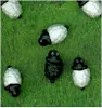 Magnete SHEEP 6er Set weiss/schwarz Produktbild-Vorschau 1