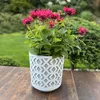 Blumentopf Kräutertopf Pflanzentopf für Zuhause Balkon Produktbild-Vorschau 2