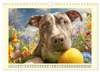 Pit Bull Terrier. Zwischen Wildblumen und Großstadtglanz Produktbild-Vorschau 12
