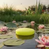 Schwimmkerzen für stimmungsvolle Dekoration von Teich und Produktbild-Vorschau 4
