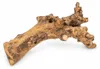 Kuwa Deko-Wurzel 25-30 oder 40-50 cm Maulbeerbaum Morus Produktbild-Vorschau 1