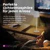 2 Stück LED Tischleuchte FASHION dimmbar mit Touch Funktion Produktbild-Vorschau 3