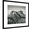 MuchoWow® Gerahmtes Poster Kuschelige Zebras 40x40 cm - Produktbild-Vorschau 1