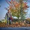 Einhell GE-LB 36/210 Li E-Solo akumulatorowa dmuchawa do Podgląd zdjęcia produktu 17