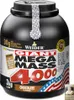 Weider Mega Mass 4000/ 3kg Dose Hardgainer CREAPURE Vanille Produktbild-Vorschau 13