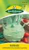 Quedlinburger Saatgut - Kohlrabi Superschmelz - Samen - Produktbild-Vorschau 3