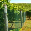 A green mesh fence is set up in a vineyard, with grapevines and wooden posts visible. Produktbild-Vorschau