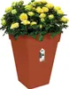 A potted plant with yellow roses in a brown planter. Produktbild-Vorschau