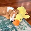 Giocattolo rilassante per cani, peluche per cani con suono Anteprima dell’immagine prodotto 9